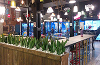 Cadena Restaurantes Fitzgerald | Estudio de Arquitectura Roberto Moratal